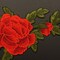 7.75" x 4.5" Red Iron On Embroidered Rose Patch Applique Pack of 12